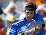 Bóng đá anh, ngoại hạng anh, lịch thi đấu euro 2012, Sứ mệnh của Del Potro